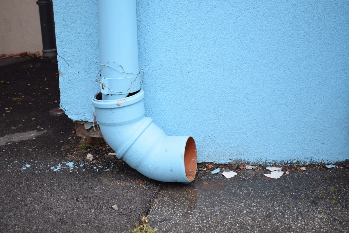 Mold Remediation service in Carson City, NV