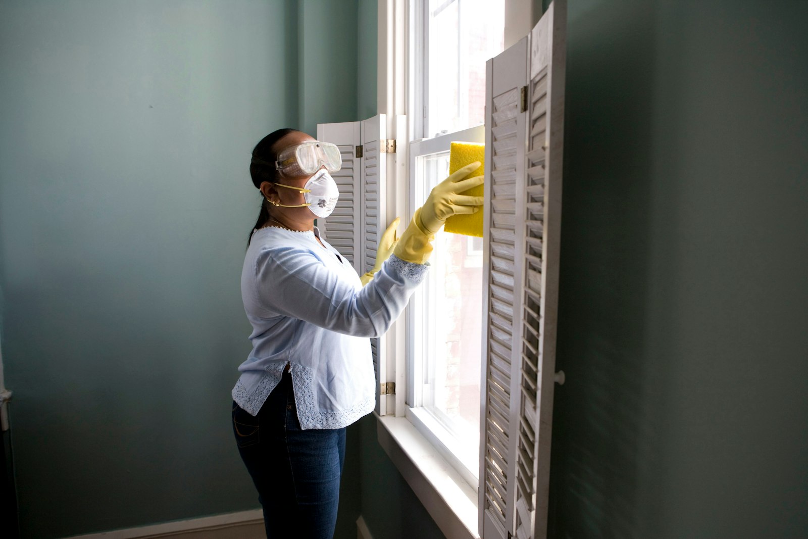 Mold Remediation service in Carson City, NV