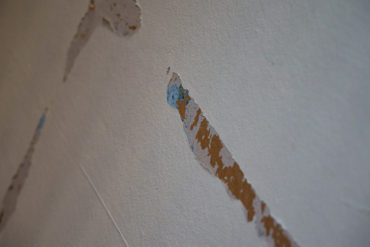 Burst Pipe Repair service in Carson City, NV